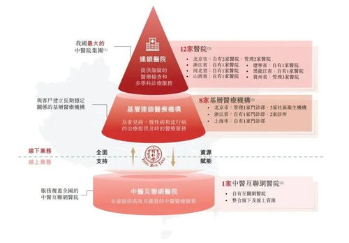 中藥老字號或?qū)⒂瓉淼谒膫€IPO，國內(nèi)貿(mào)易代理成資本新寵