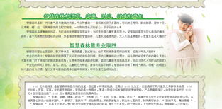 智慧森林 童裝品牌新勢力，攜手遠大恒通共創(chuàng)未來